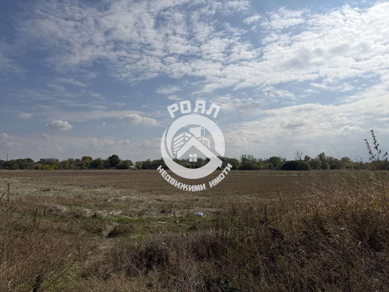 Роял Имоти продава парцел-земеделска земя в с.Ягодово,обл.Пловдив - 0