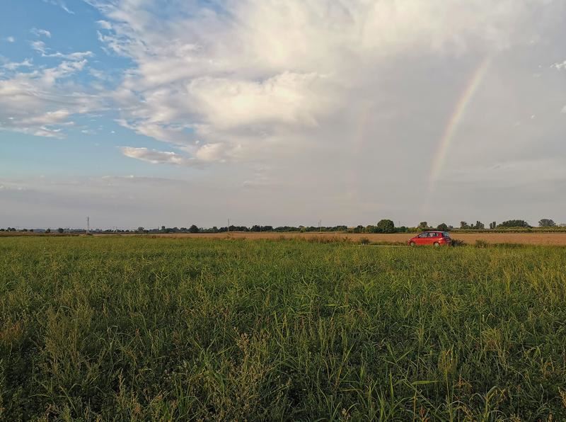 Роял Имоти продава парцел на втора линия до шосето Пловдив - Златитрап - 0