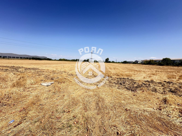 Роял имоти продава Ексклузивно земеделска земя в началото на с.Златитрап - 0