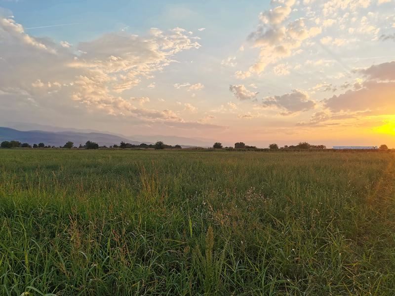 Роял Имоти продава парцел на втора линия до шосето Пловдив - Златитрап - 0