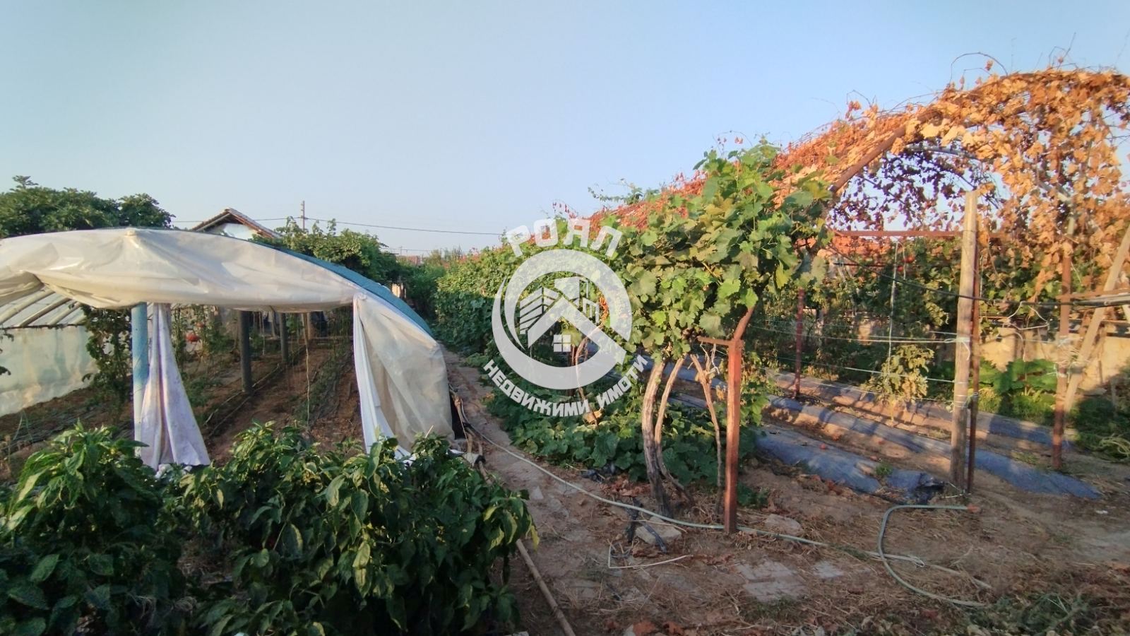 Роял имоти продава къща с двор в с. Паничери - 0