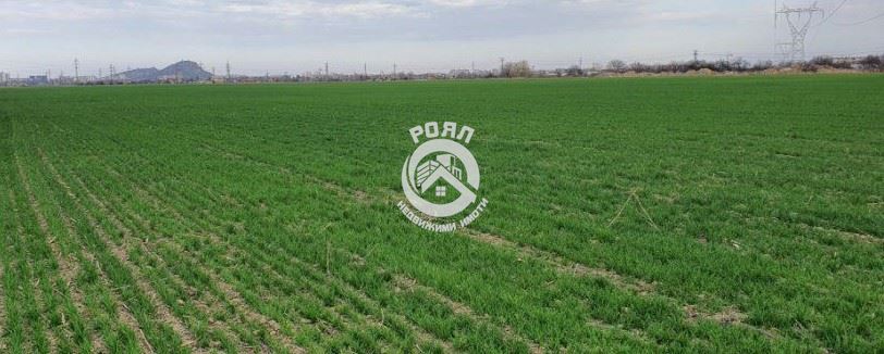 Роял Имоти продава Земеделска земя между кв.Прослав и кв.Коматево, Пловдив - 0
