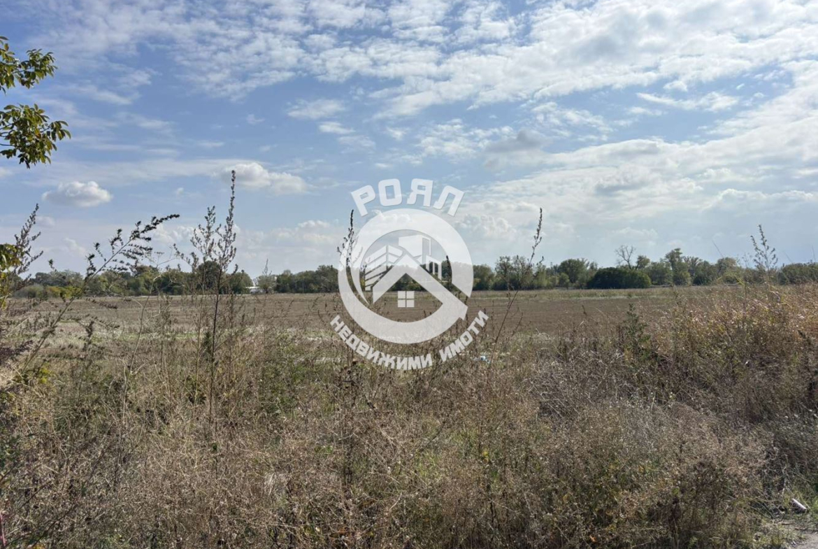 Роял Имоти продава Ексклузивно Земеделска земя, село Ягодово, обл.Пловдив - 0