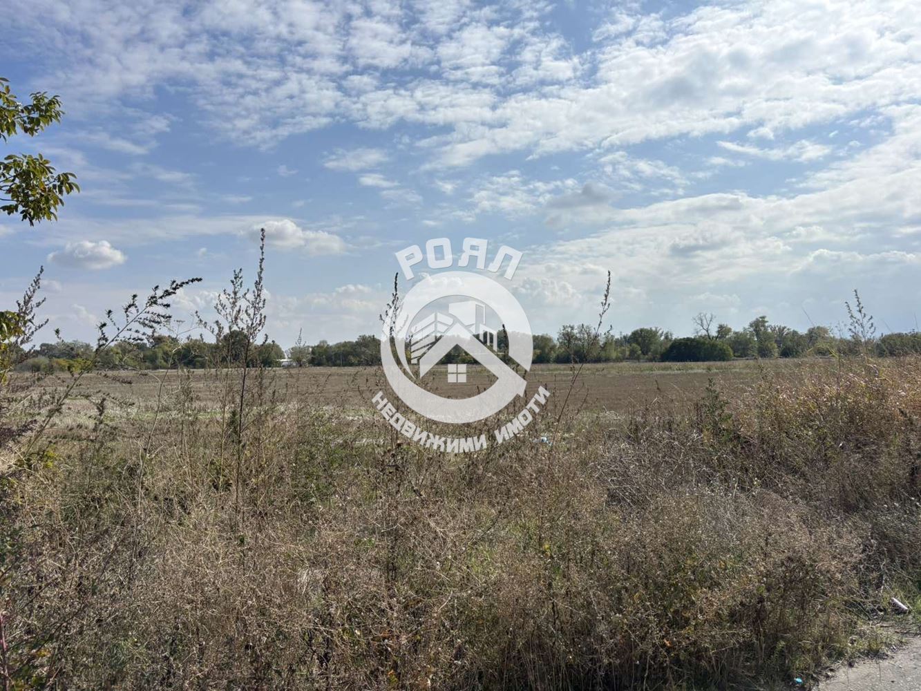 Роял Имоти продава Ексклузивно Земеделска земя, село Ягодово, обл.Пловдив - 0