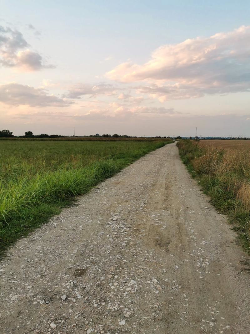 Роял Имоти продава парцел на втора линия до шосето Пловдив - Златитрап - 0