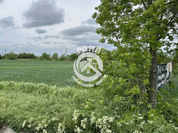 Роял Имоти продава ЕКСКЛУЗИВНО парцел в с.Граф Игнатиево,обл.Пловдив - 0