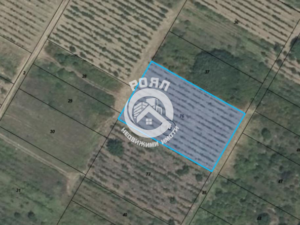 Роял имоти продава два земеделски имота един до друг ,Брестник,Пловдив - 0