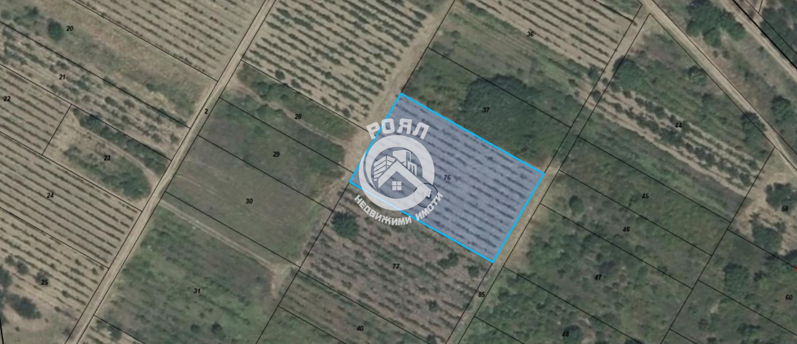 Роял имоти продава два земеделски имота един до друг ,Брестник,Пловдив - 0