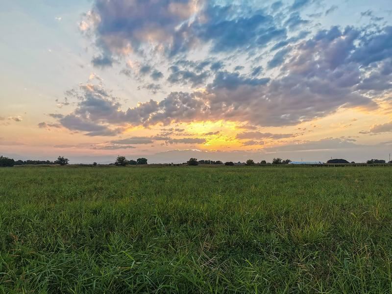 Роял Имоти продава парцел на втора линия до шосето Пловдив - Златитрап - 0