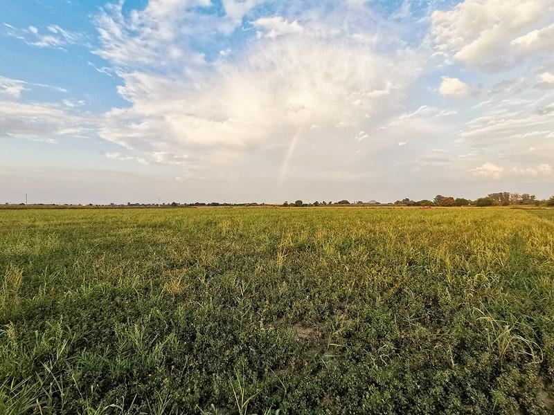 Роял Имоти продава парцел на втора линия до шосето Пловдив - Златитрап - 0