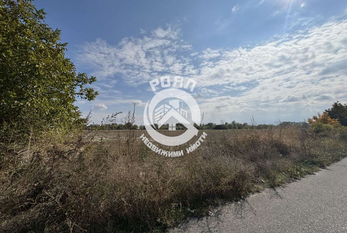 Роял Имоти продава Ексклузивно Земеделска земя, село Ягодово, обл.Пловдив - 0