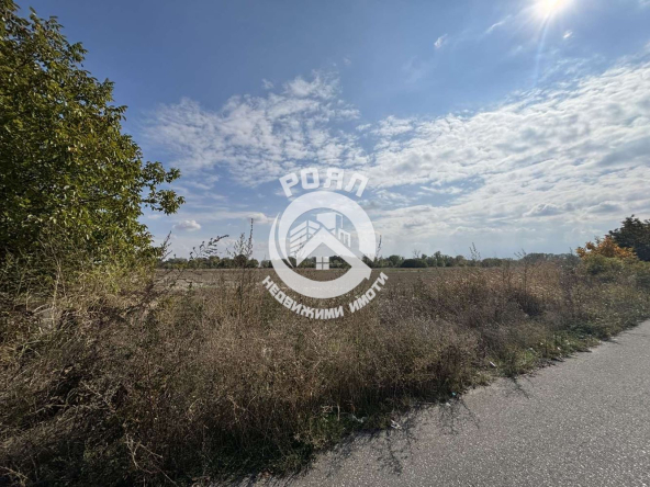 Роял Имоти продава Ексклузивно Земеделска земя, село Ягодово, обл.Пловдив - 0