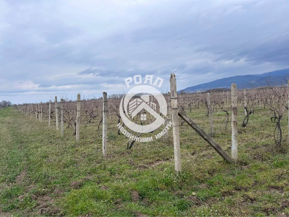 Роял имоти продава земеделска земя в с. Златитрап с площ 13 699 кв. м. - 0