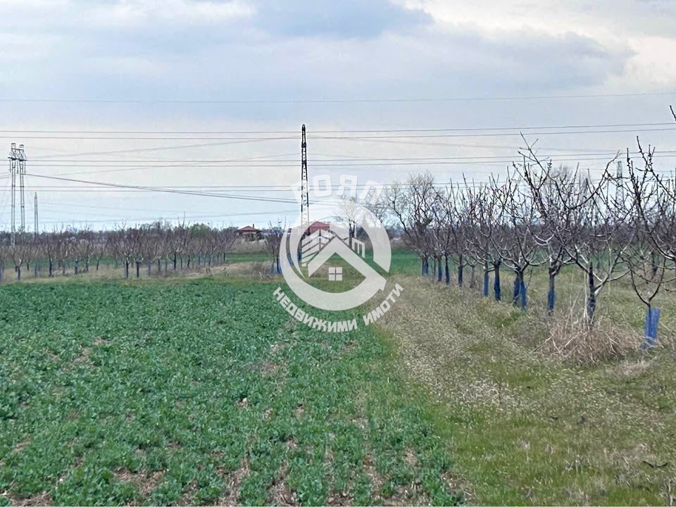 Роял имоти продава земеделска земя в с. Златитрап с площ 13 699 кв. м. - 0