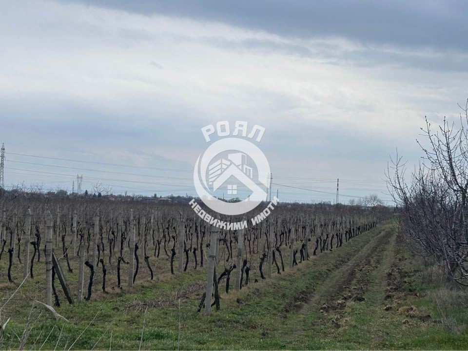 Роял имоти продава земеделска земя в с. Златитрап с площ 13 699 кв. м. - 0